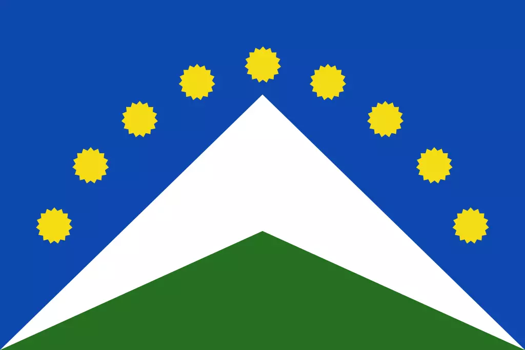 bandera junin